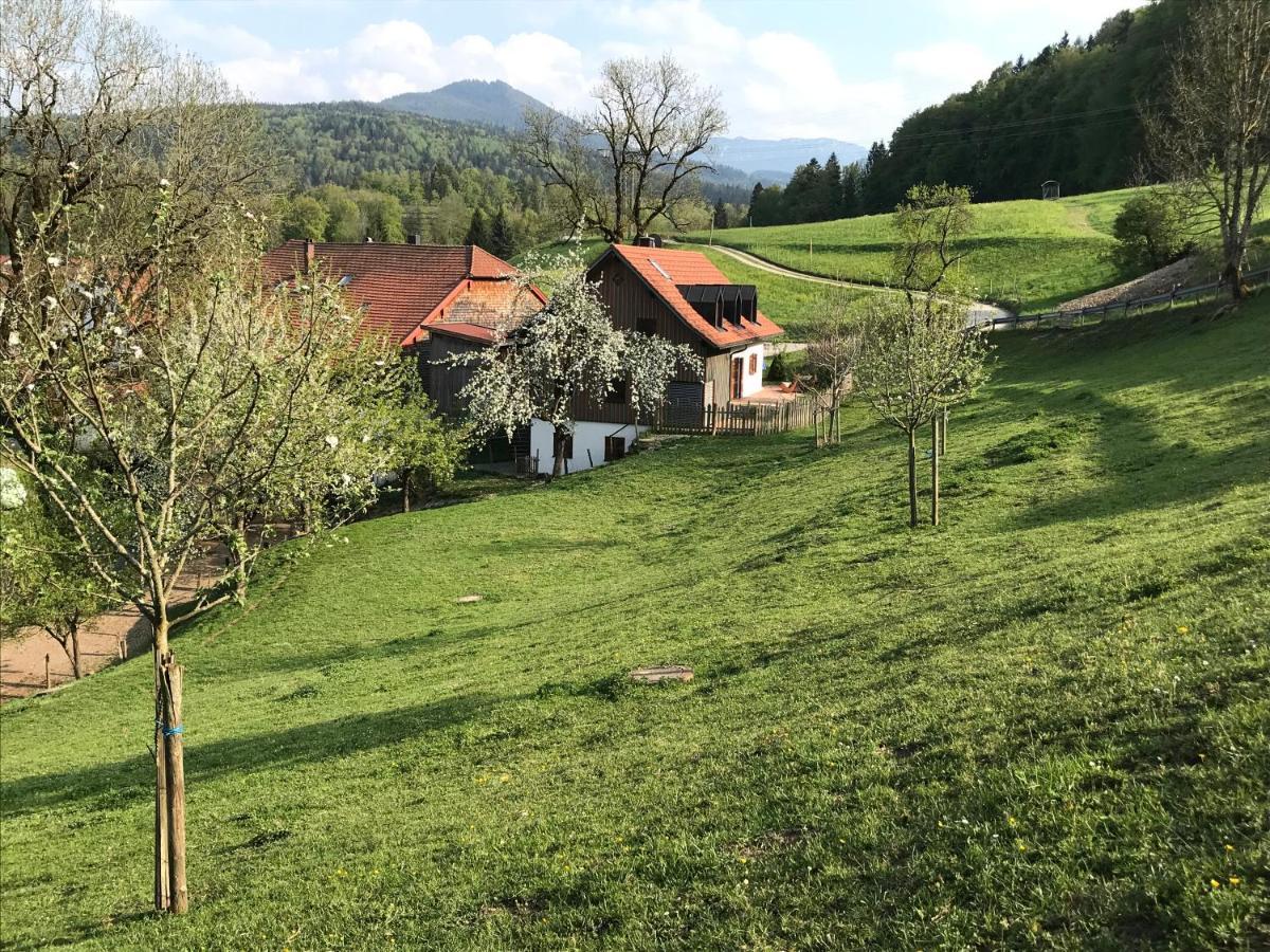 Pension Ober Siegsdorf Bagian luar foto