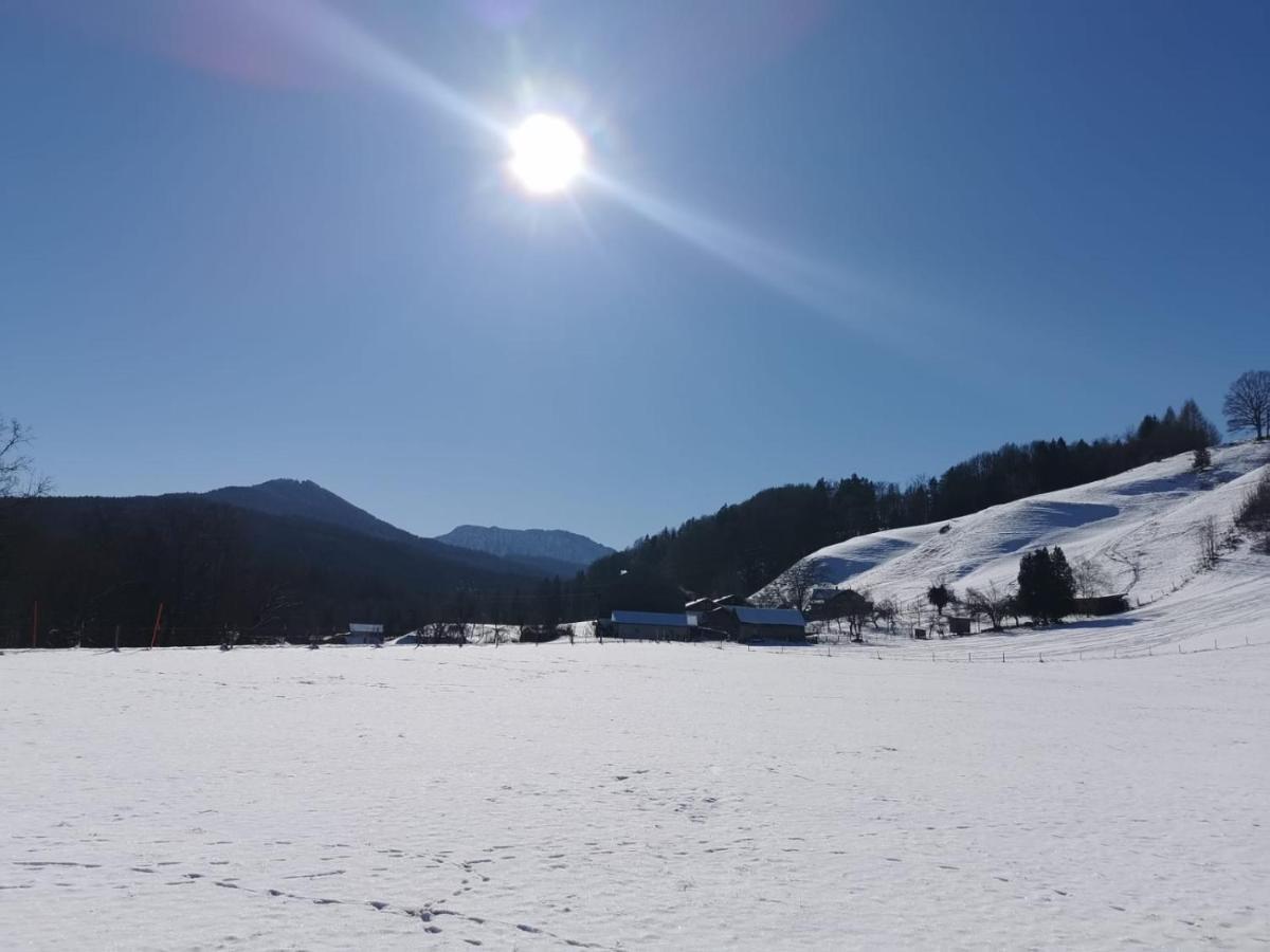 Pension Ober Siegsdorf Bagian luar foto