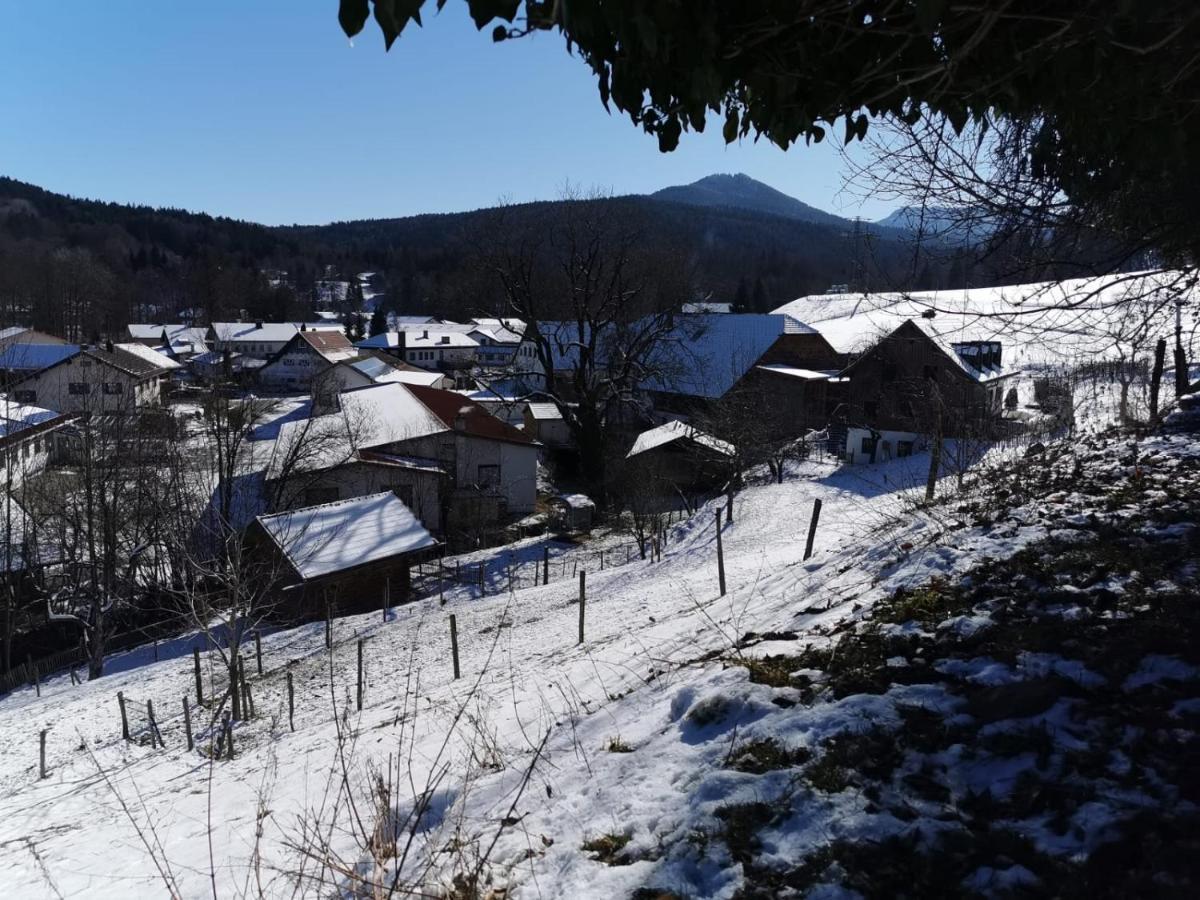 Pension Ober Siegsdorf Bagian luar foto