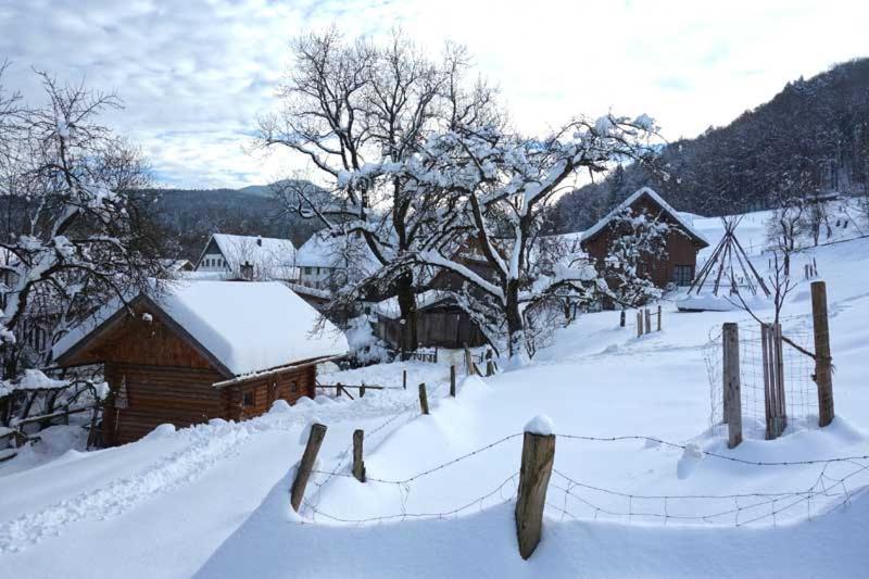 Pension Ober Siegsdorf Bagian luar foto